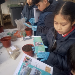 Visita Forjadores Ambientales Invernadero Pailahueque